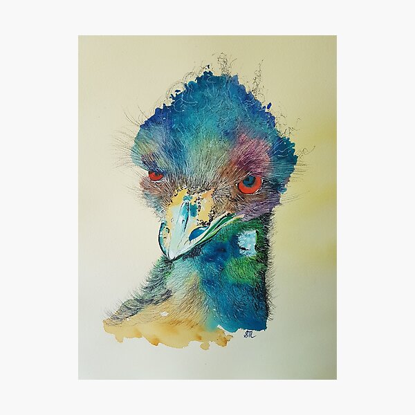 Jeffry Emu Photographic Print