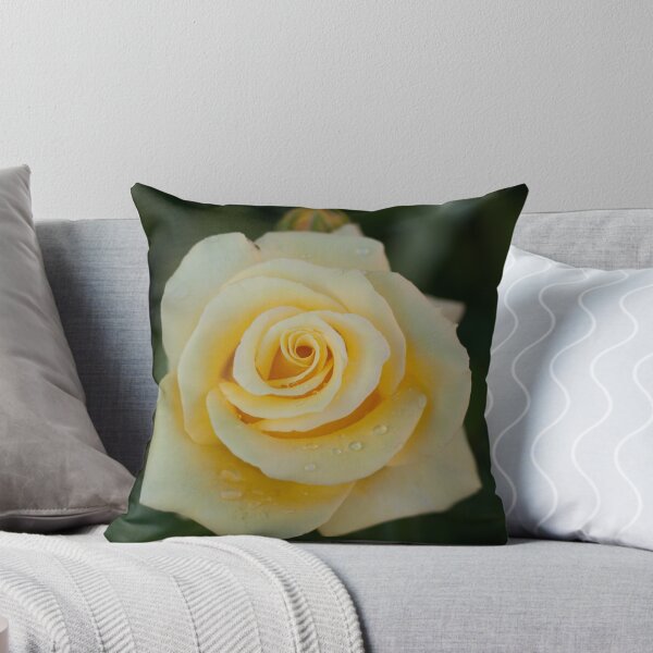 Item preview, Raindrops on Roses designed and sold by Kelley Shannon.