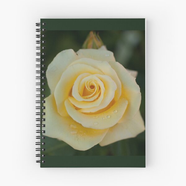 Item preview, Raindrops on Roses designed and sold by Kelley Shannon.