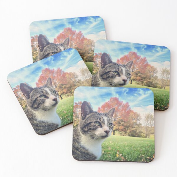 Item preview, Picture Purrrfect! designed and sold by spyderboy8.
