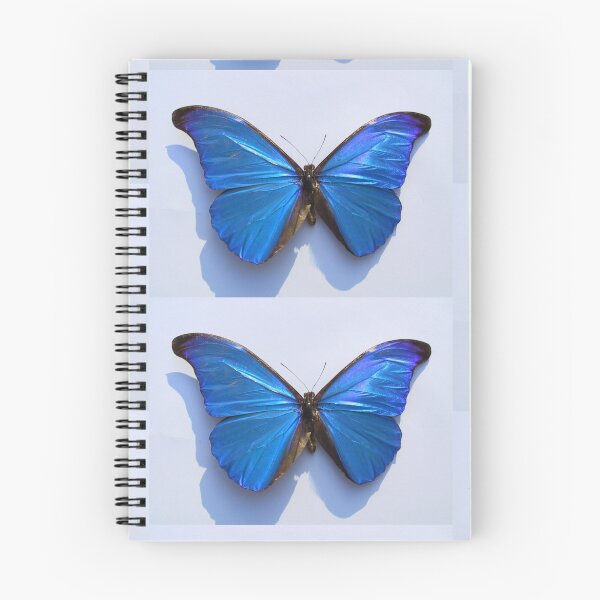 Item preview, butterfly designed and sold by ashlieghlloyd.