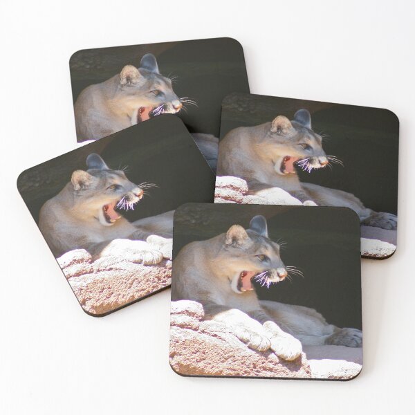 Item preview, A Yawn or a Growl? designed and sold by RichImage.