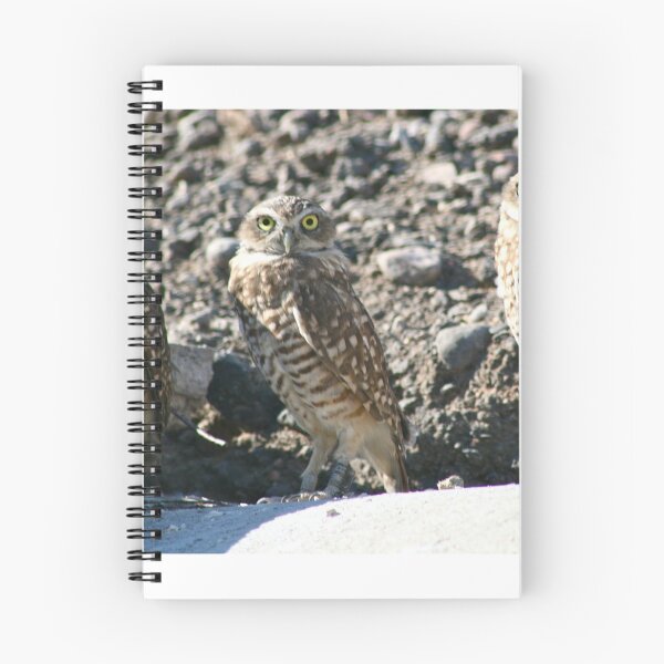Item preview, Burrowing Owls... designed and sold by RichImage.