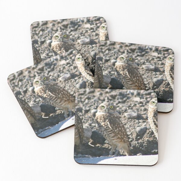 Item preview, Burrowing Owls... designed and sold by RichImage.