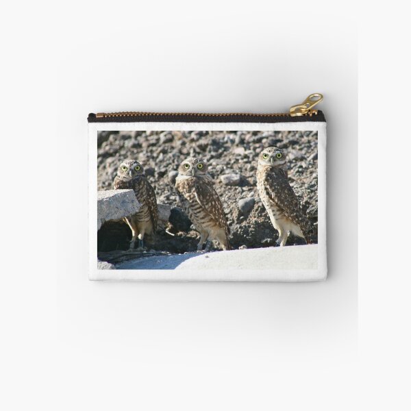 Item preview, Burrowing Owls... designed and sold by RichImage.
