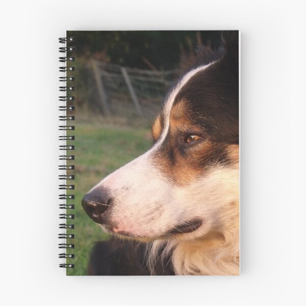 Item preview, Laddie in the evening. designed and sold by Michael Haslam.