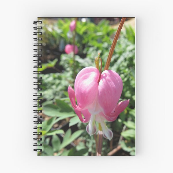 Item preview, Bleeding Heart Pink Flower designed and sold by Aleesha Haigwood.
