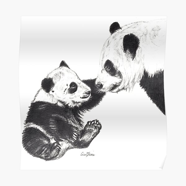 Mother Baby Panda Posters Redbubble