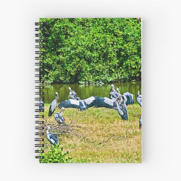 Item preview, Cranes designed and sold by bulljup.