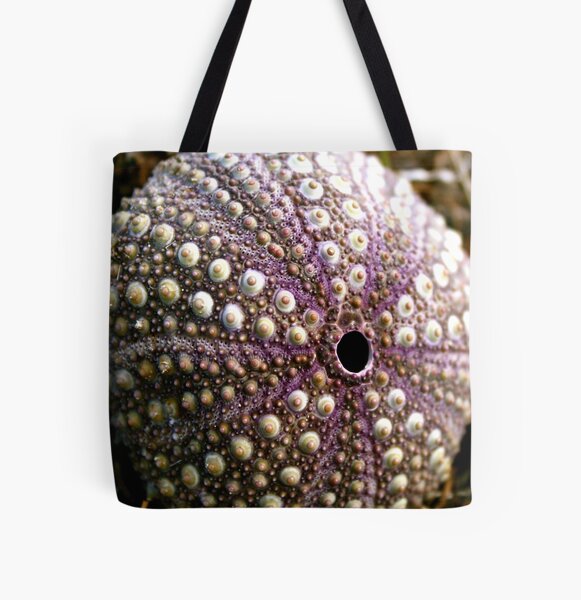 Item preview, Sea urchin designed and sold by TwoShoes.