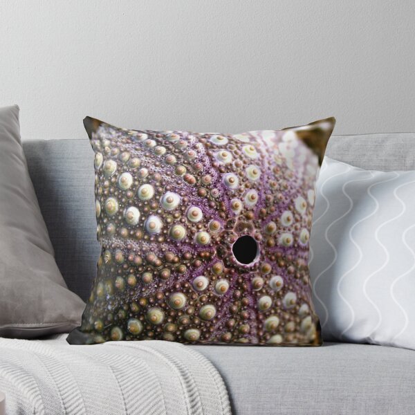 Item preview, Sea urchin designed and sold by TwoShoes.