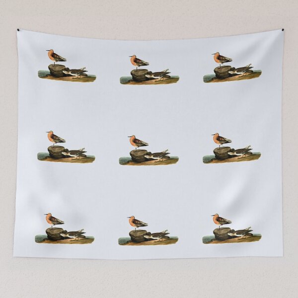 Item preview, Sandpiper Drawing Vintage Illustration designed and sold by kmcs.