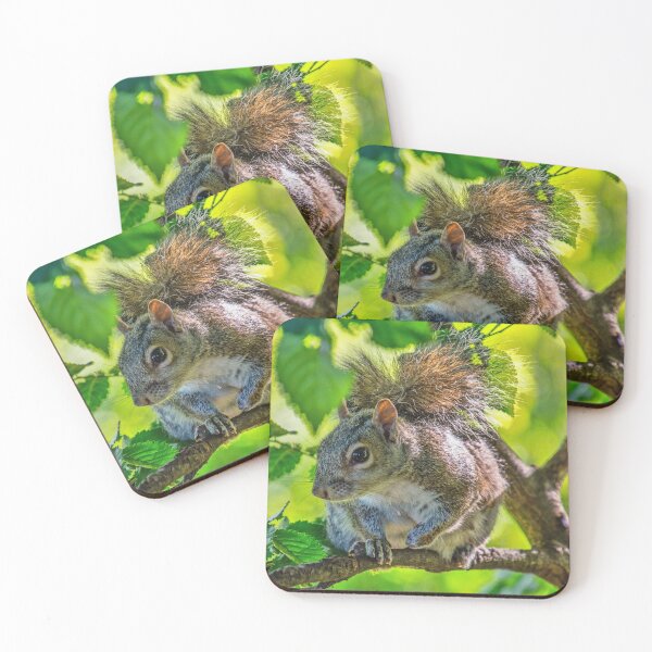 Item preview, #138 Squirrel sitting in a tree. designed and sold by phutball.