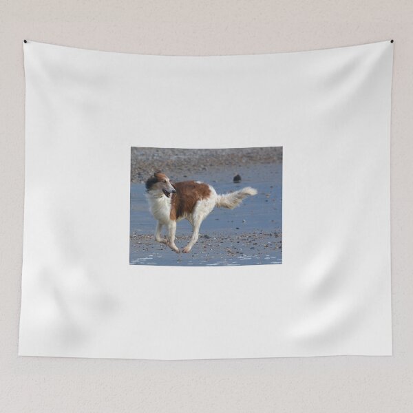 Item preview, I'm their leader - which way did they go? designed and sold by Holmewood.