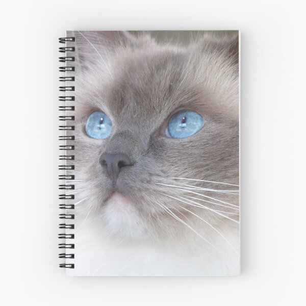Item preview, Fluffy Ragdoll Cat designed and sold by Leon  Wall.