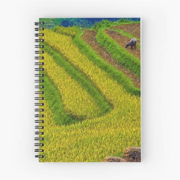 Item preview, Rice Terrace. designed and sold by bulljup.