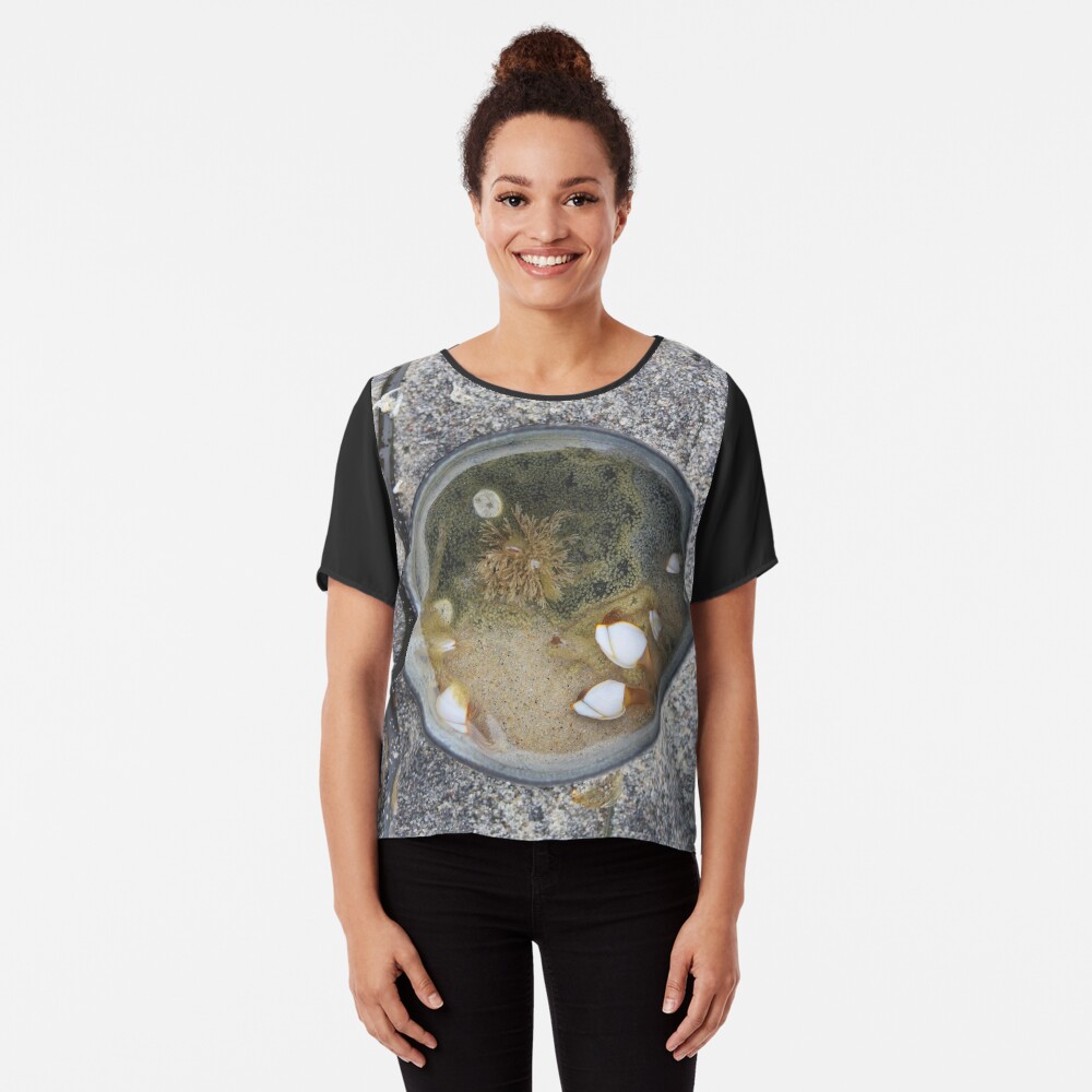 Barnacles at Home in a Plastic Lid - 2016 Chiffon Top