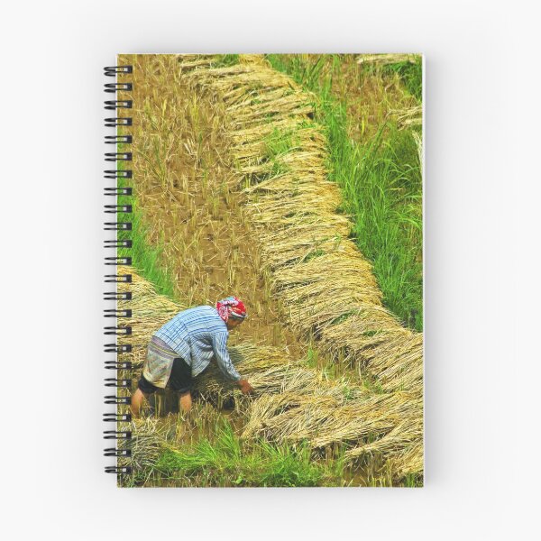 Item preview, Rice Terrace5. designed and sold by bulljup.