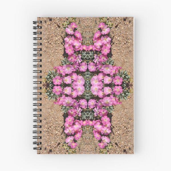 Aperçu de l'œuvre Bougies de Bushman Sarcocaulon patersonii Namibie créée et vendue par Schoensl.