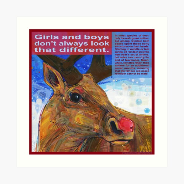 Rudolpha (Reindeer) Art Print