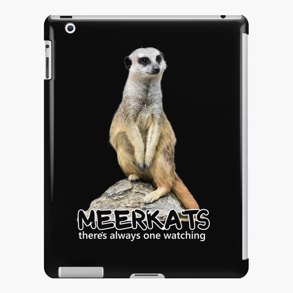 File:Neighbourhood watch - Meerkats.jpg - Wikimedia Commons