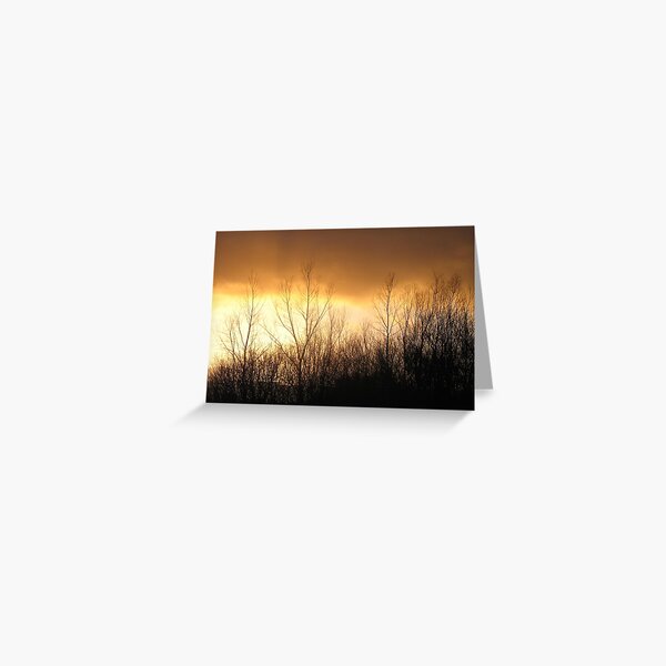 Willow sunset Greeting Card