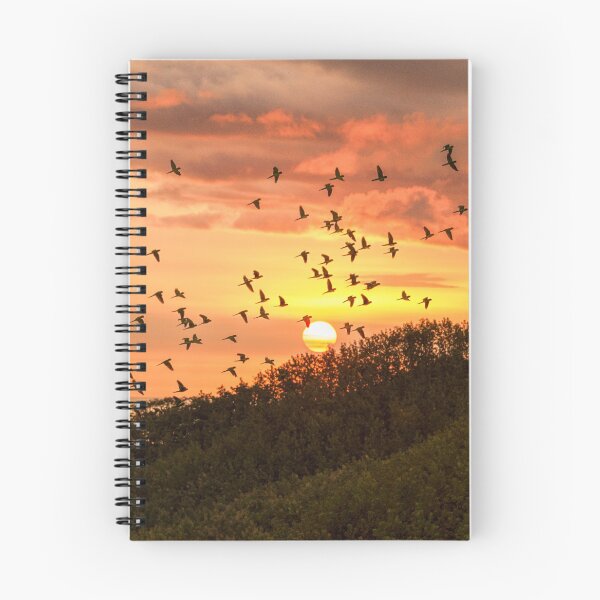 Item preview, Parrot-Filled Skies at Sunset designed and sold by Tracy Riddell.