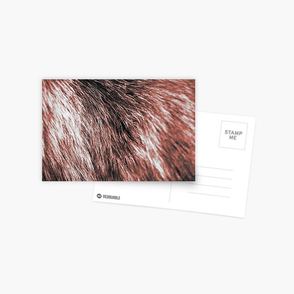 Coral fluffy fur Postcard