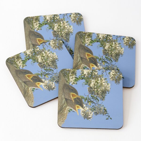 Item preview, two juvenile wren birds about to fledge  designed and sold by 6059.
