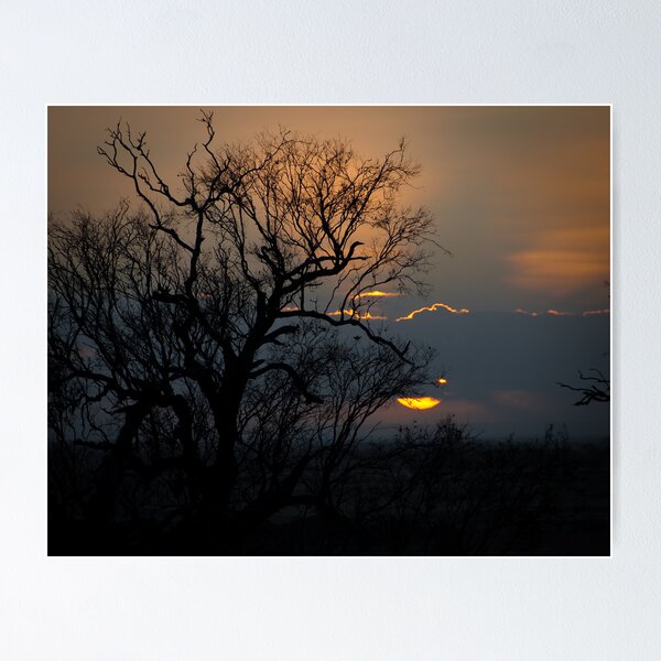 Aperçu de l'œuvre Sunrise at Neds créée et vendue par CRPH.