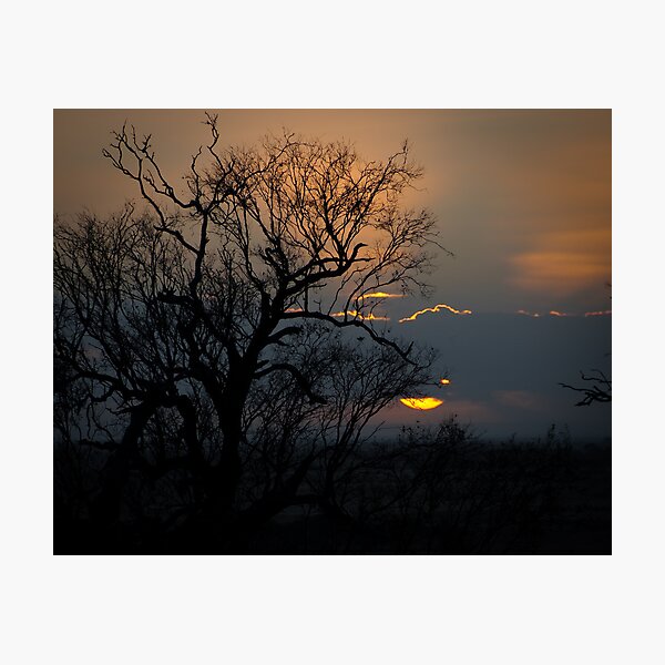 Item preview, Sunrise at Neds designed and sold by CRPH.