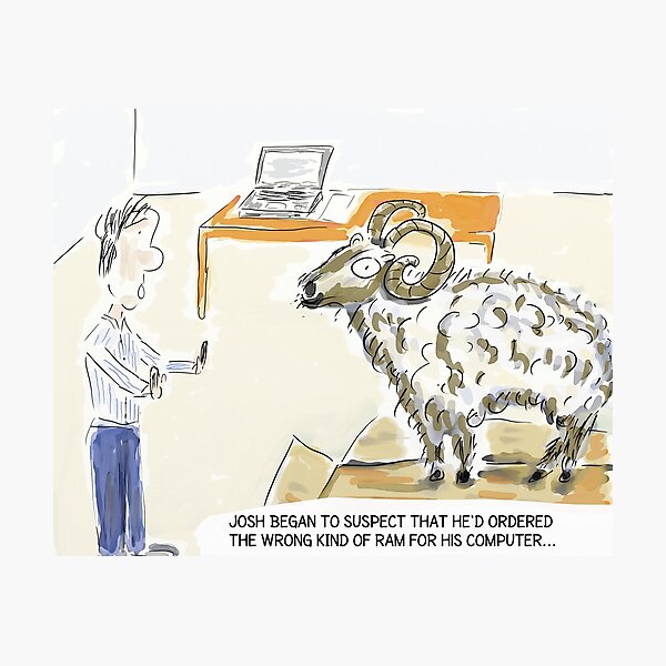 Funny Tech Cartoon Humour: "The Wrong Kind of Ram..." Photographic Print