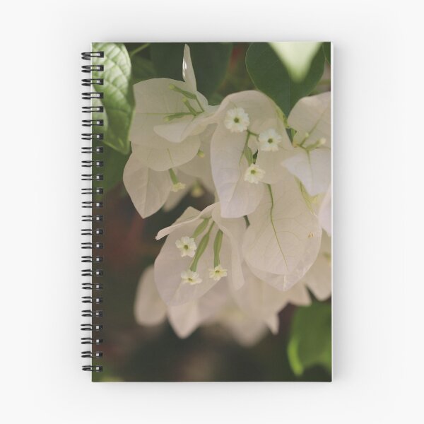 Item preview, White Bougainvillea designed and sold by cuprum.