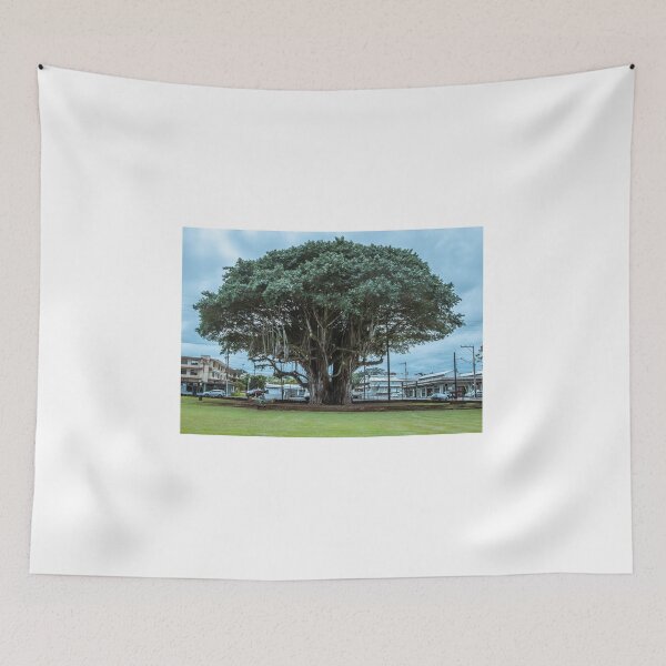 Item preview, The beauty of a large Banyan tree. designed and sold by ROBERT NIEDERRITER.
