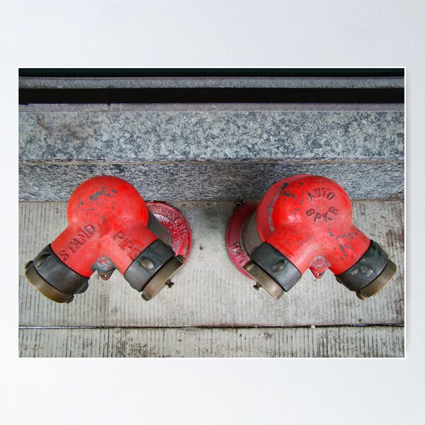 Item preview, Twins designed and sold by knobby.