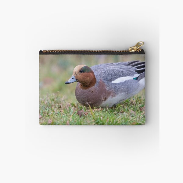 Item preview, Wigeon - Anas penelope designed and sold by LaurenTucker.