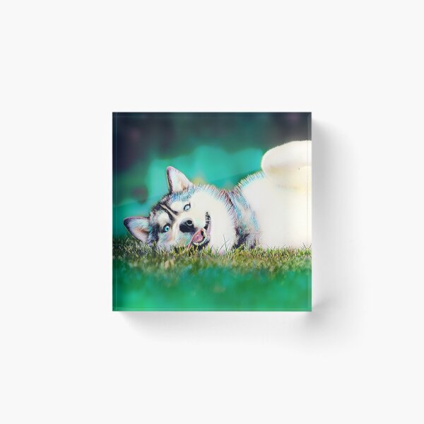 Item preview, Husky Love  designed and sold by JENNYFIX.