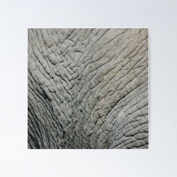 Item preview, Wrinkly Elephant Skin designed and sold by 4Craig.