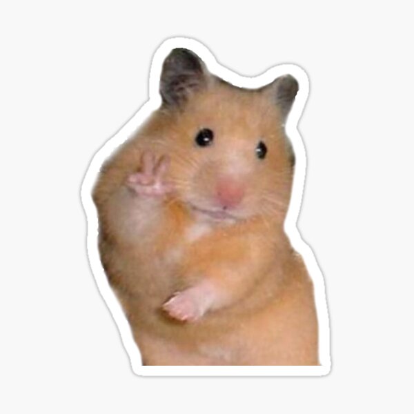 Cheeky hamster on sale for sale