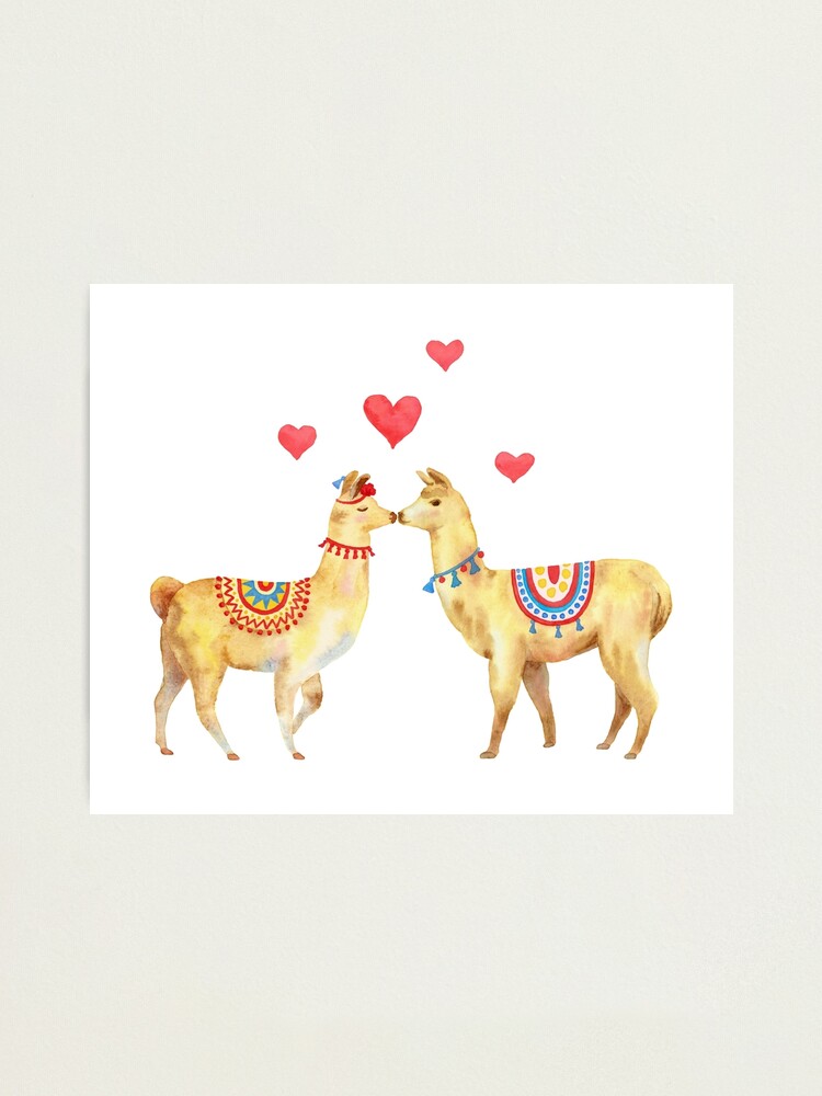 Alternate view of Llamas in llove 1 Photographic Print