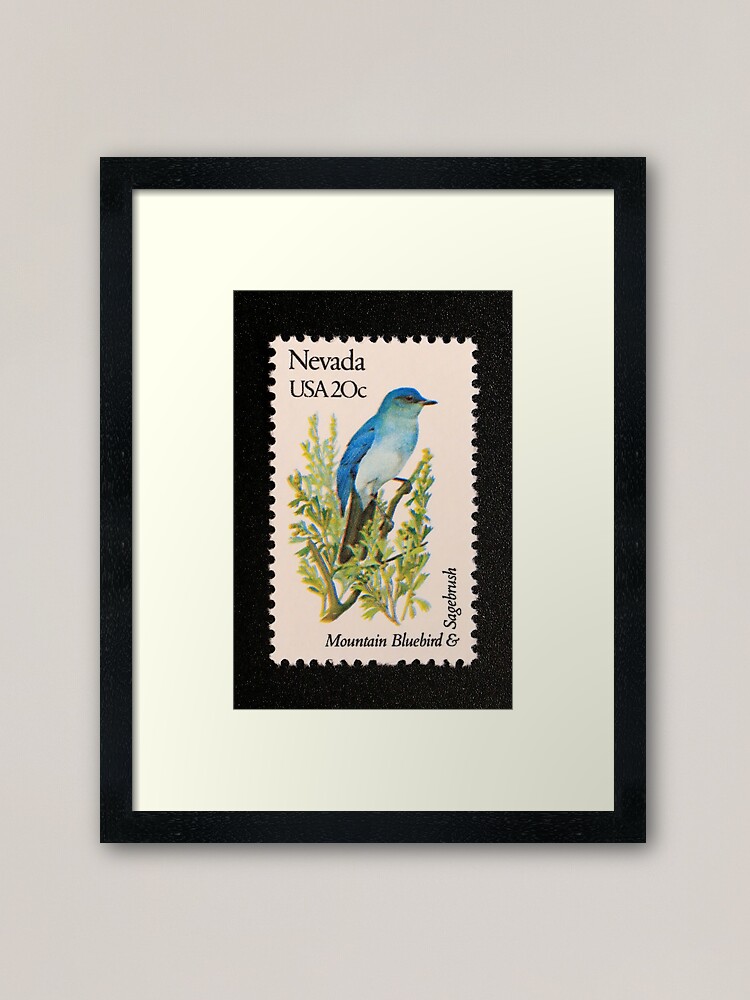 "1982 20c Nevada State Bird & Flower Postage Stamp" Framed Art Print by
