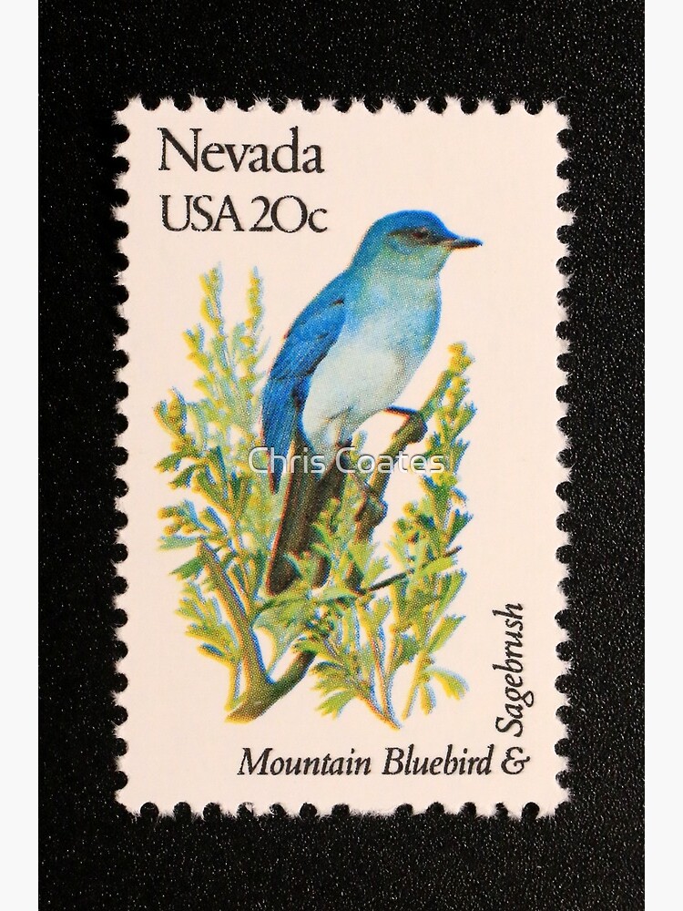 1982-20c-nevada-state-bird-flower-postage-stamp-framed-art-print-by