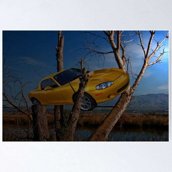Item preview, Car gone wild, in a tree designed and sold by happyphotos.