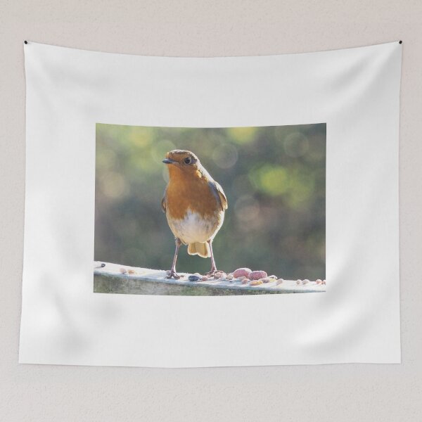 Item preview, A  Robin at Seaton Wetlands, Devon UK designed and sold by lynn carter.