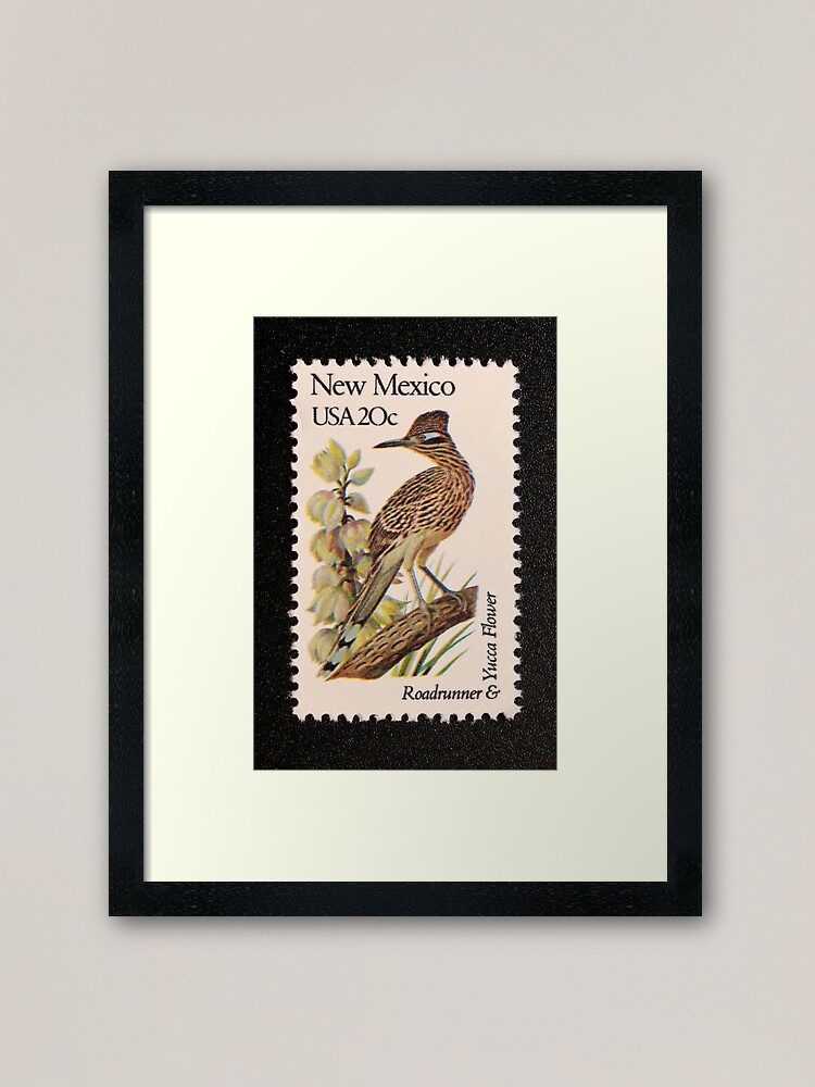 "1982 20c New Mexico State Bird & Flower Postage Stamp" Framed Art