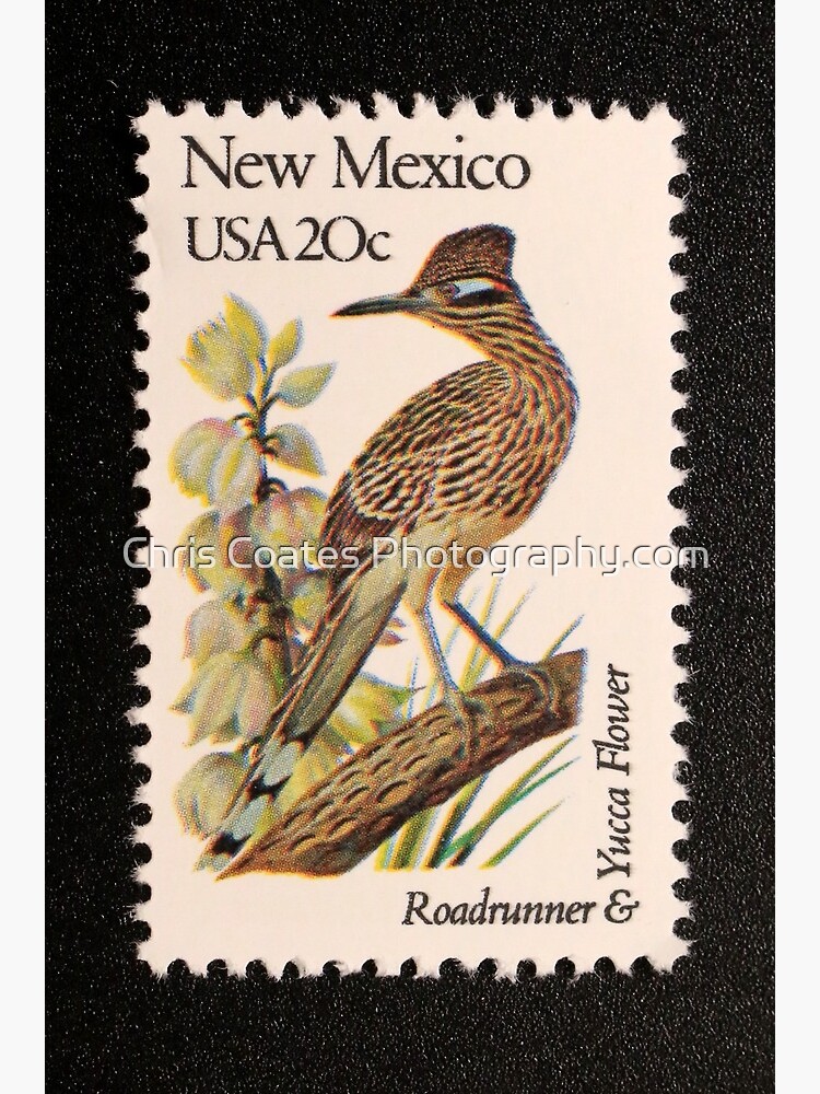 "1982 20c New Mexico State Bird & Flower Postage Stamp" Framed Art