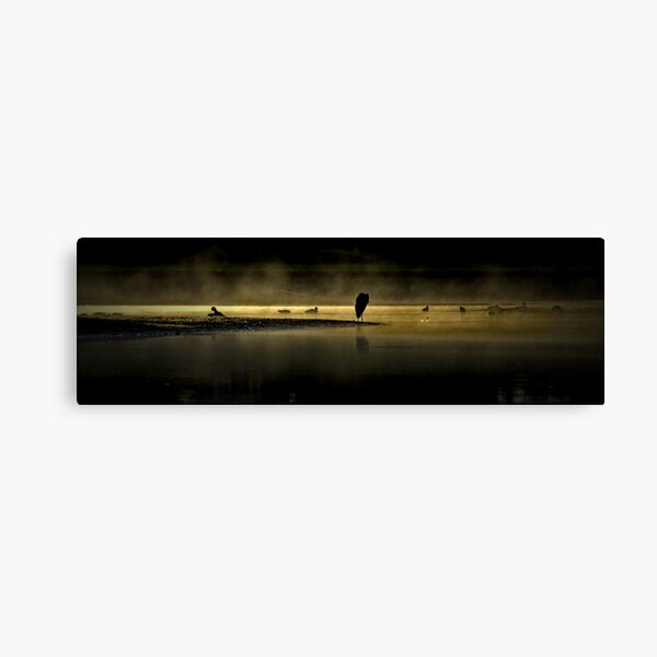 Herons in the Mist Canvas Print