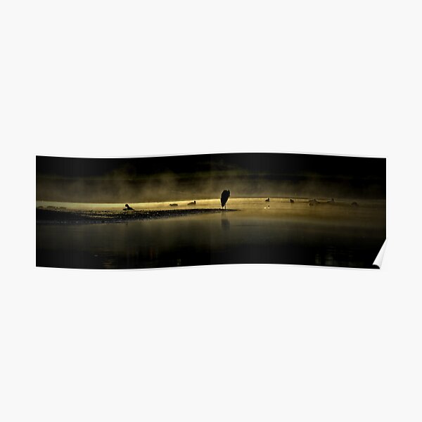 Herons in the Mist Poster