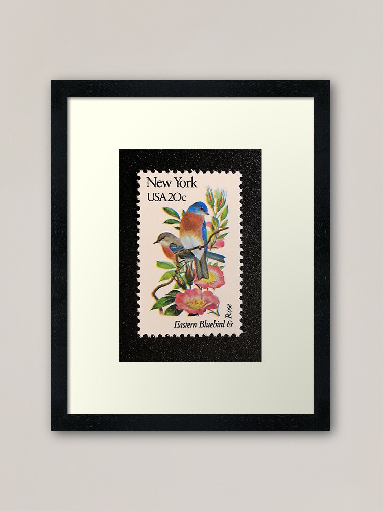"1982 20c New York State Bird & Flower Postage Stamp" Framed Art Print