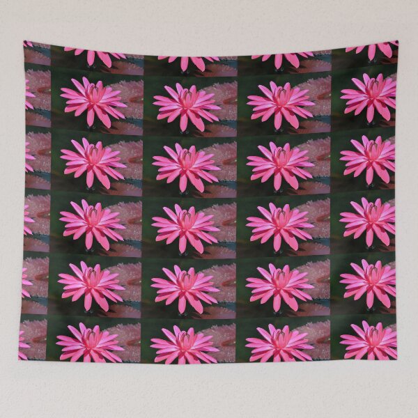 Item preview, Large Pink Water Lily designed and sold by Kathleen Brant.